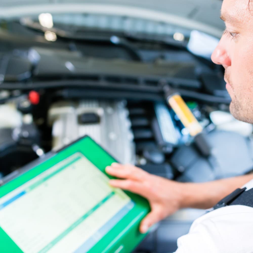 Expertos en el sector