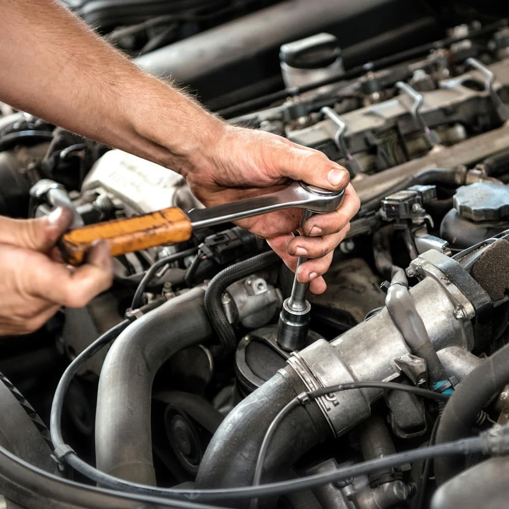 Servicios con garantías